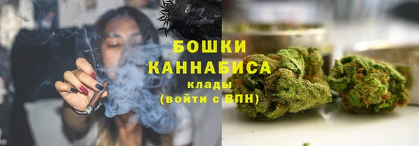 гидра Армянск