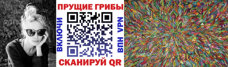 Купить где  Чебоксары  Псилоцибиновые грибы мицелий 